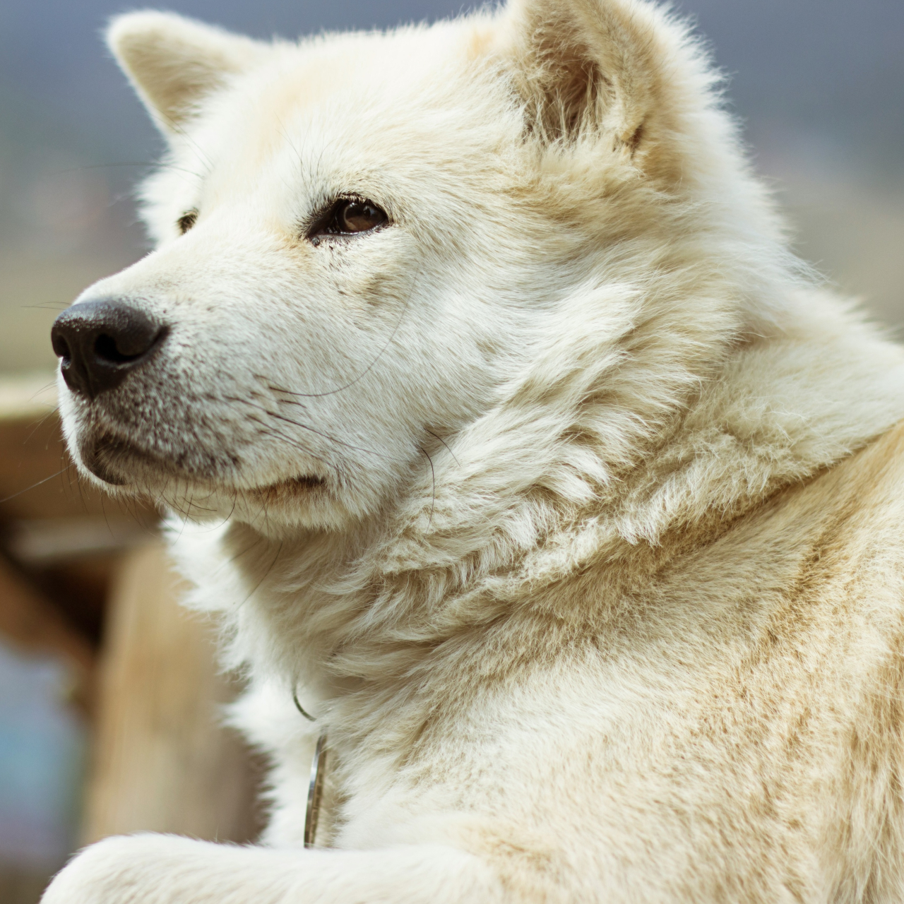 同居のお義父さんのお世話は誰がする？